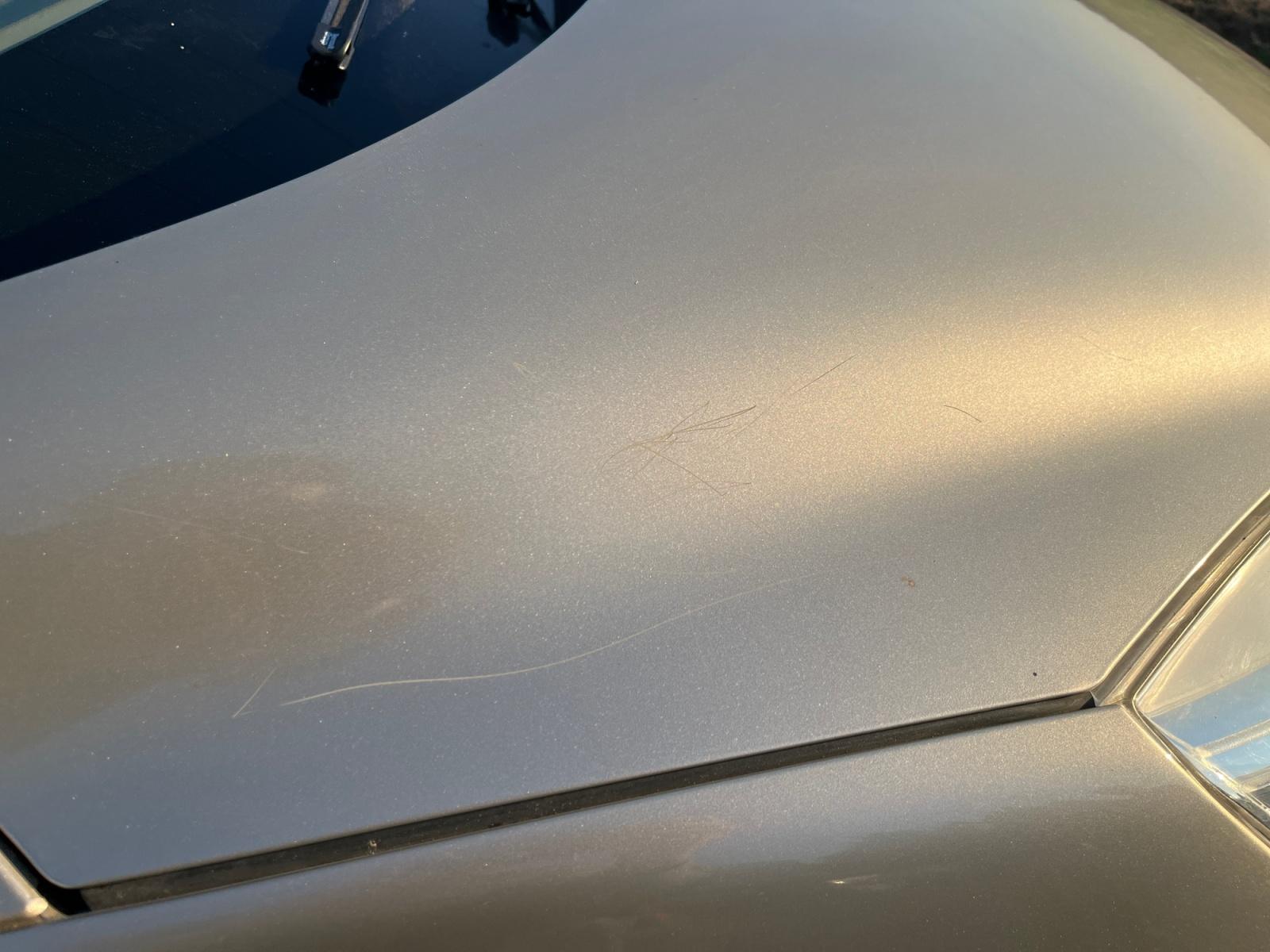 
								Renault Scénic III dCi 130 Expression 5 pl complet									